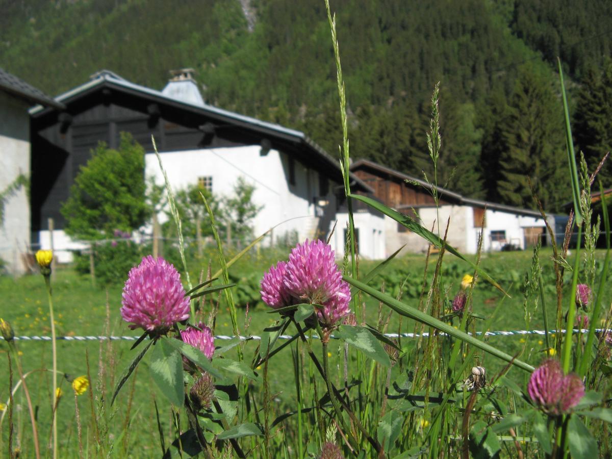 Gite Nouveau Grassonnet Chamonix Bagian luar foto